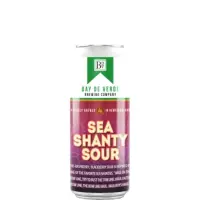 Bay de Verde Brewing company Sea Shanty Sour
