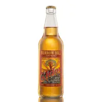 Burrow Hill Cider Farm Pressed Somerset Cider - Medium Dry (Bottle)