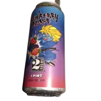 2 Silos Brewing Company Brewberry Blast