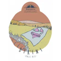 Daglighallen Mikrobryggeri Bikini