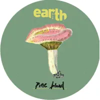 Earth Ale Brewery Pine Blond