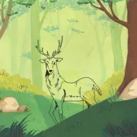 La Cabane Selva