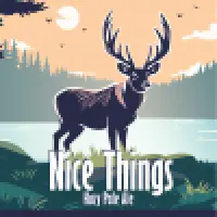 Central Waters Brewing Co. Nice Things