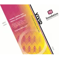 Foundation Brewing Company Vivid