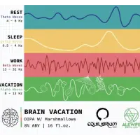 Equilibrium Brewery Brain Vacation