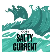 Paradox Brewery Salty Current