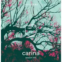 černý potoka Carina