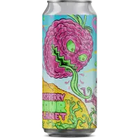 Aeronaut Brewing Company First Steps on a Sour Planet - Raspberry