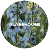Glasshouse Beer Co Delphinium