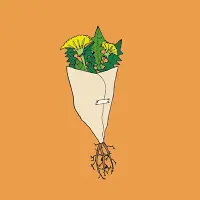 Nano Cinco Bouquet De Pissenlits