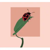 Nano Cinco Coccinelle
