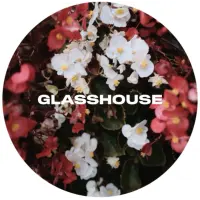 Glasshouse Beer Co Begonia