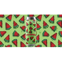 Modist Brewing Company Watermeloncholy