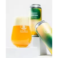Source Farmhouse Brewery Holla Juice