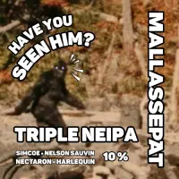 Mallassepät Have You Seen Him?