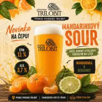 Trilobit Mandarinkový Sour