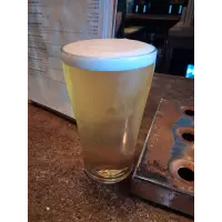 Distortion Brewery Drowning in Citra
