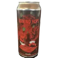Les Brasseurs du Petit Sault Raining Hops