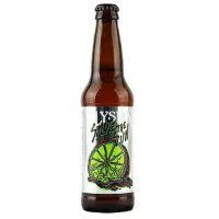 Elysian Brewing Salute the Sun