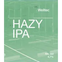 Rygr Brygghús Welltec Hazy IPA