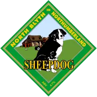 North Blyth Sheepdog