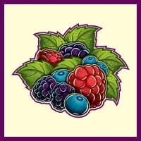 Nova Runda Fruit Expo: Berry Harvest