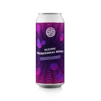 50&50 Craft Brewery Flying Microtonal Berry