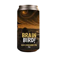 Brouwerij De Kwint Brain Bird