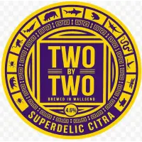 Two By Two Brewing Superdelic Citra