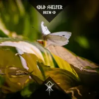 Cold Shelter Brew Co Whispers in the Wind