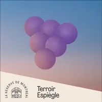 Brasserie Dieu du Ciel! Terroir Espiègle