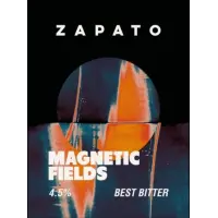 Zapato Brewery Magnetic Fields