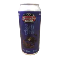 Jersey Girl Brewing Company Salt of the Earth