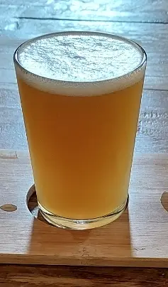 Beer tick image