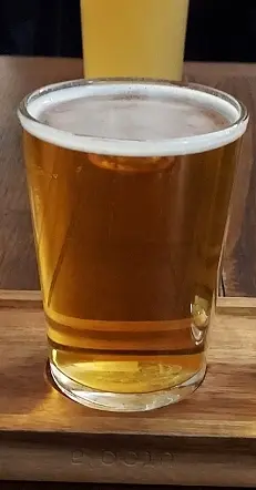 Beer tick image
