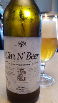 fonefan's photo of Gin N' Beer