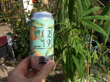 Maakun's photo of 02 19 Off-Tempo Cloudy Pale Ale