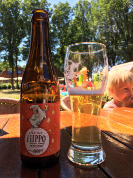sjogro's photo of Schierse Hippo