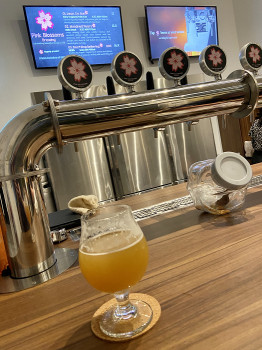 jimgreen's photo of Pilgrim IPA