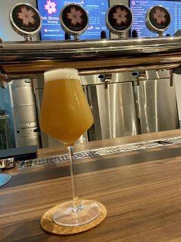 jimgreen's photo of DIPA 5 - V-iking