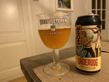 Kermis's photo of Underdog