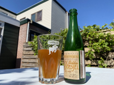 Kermis's photo of Golden Doesjel (2012)