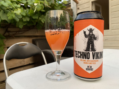 Kermis's photo of Techno Viking