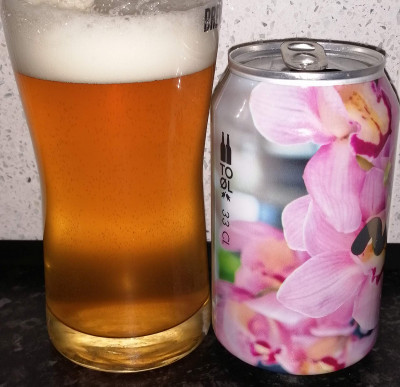 Deanso's photo of Tropical Rumble