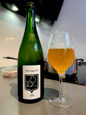 Kermis's photo of Steengaard (2018)
