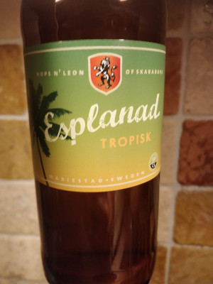 AndySnow's photo of Esplanad Tropisk