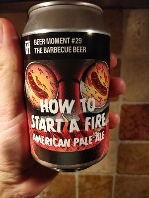 AndySnow's photo of How To Start A Fire