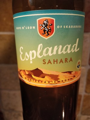 AndySnow's photo of Esplanad Sahara