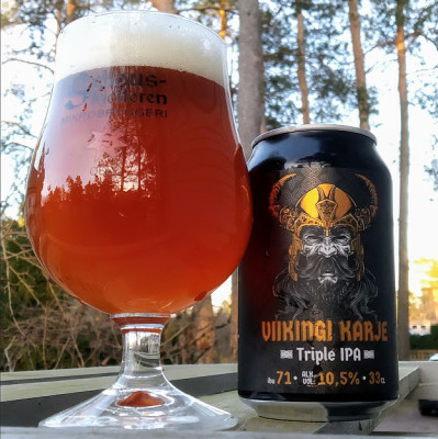 visionthing's photo of Viikingi Karje