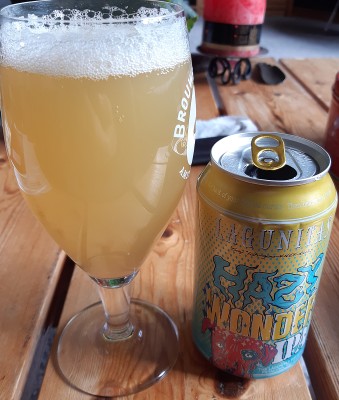 potjebier's photo of Hazy Wonder